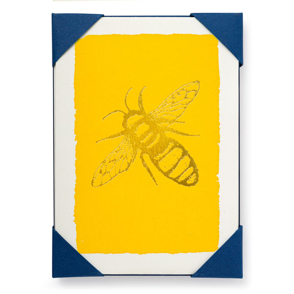 Archivist Gallery - Gold Bee 5-Pack