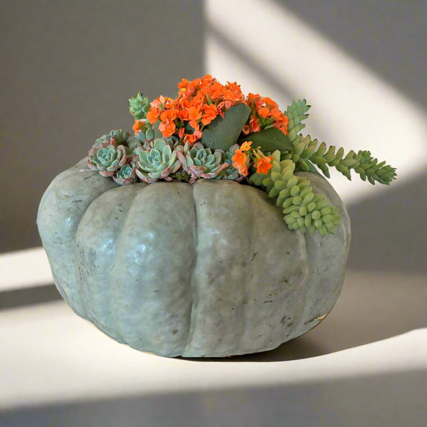 Ornamental Gourd & Succulent Arrangement Workshop