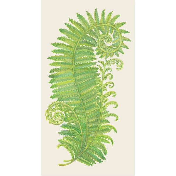 Hester & Cook Guest Napkins - Fern